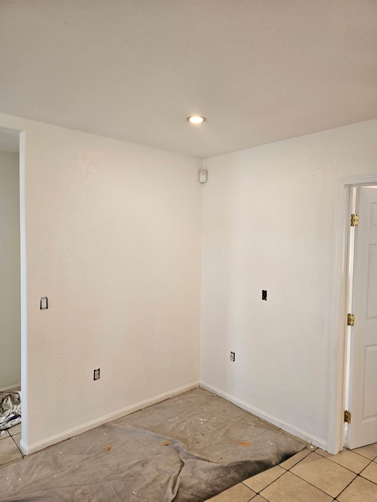 Del Mar Home Revitalization with Whisper White image