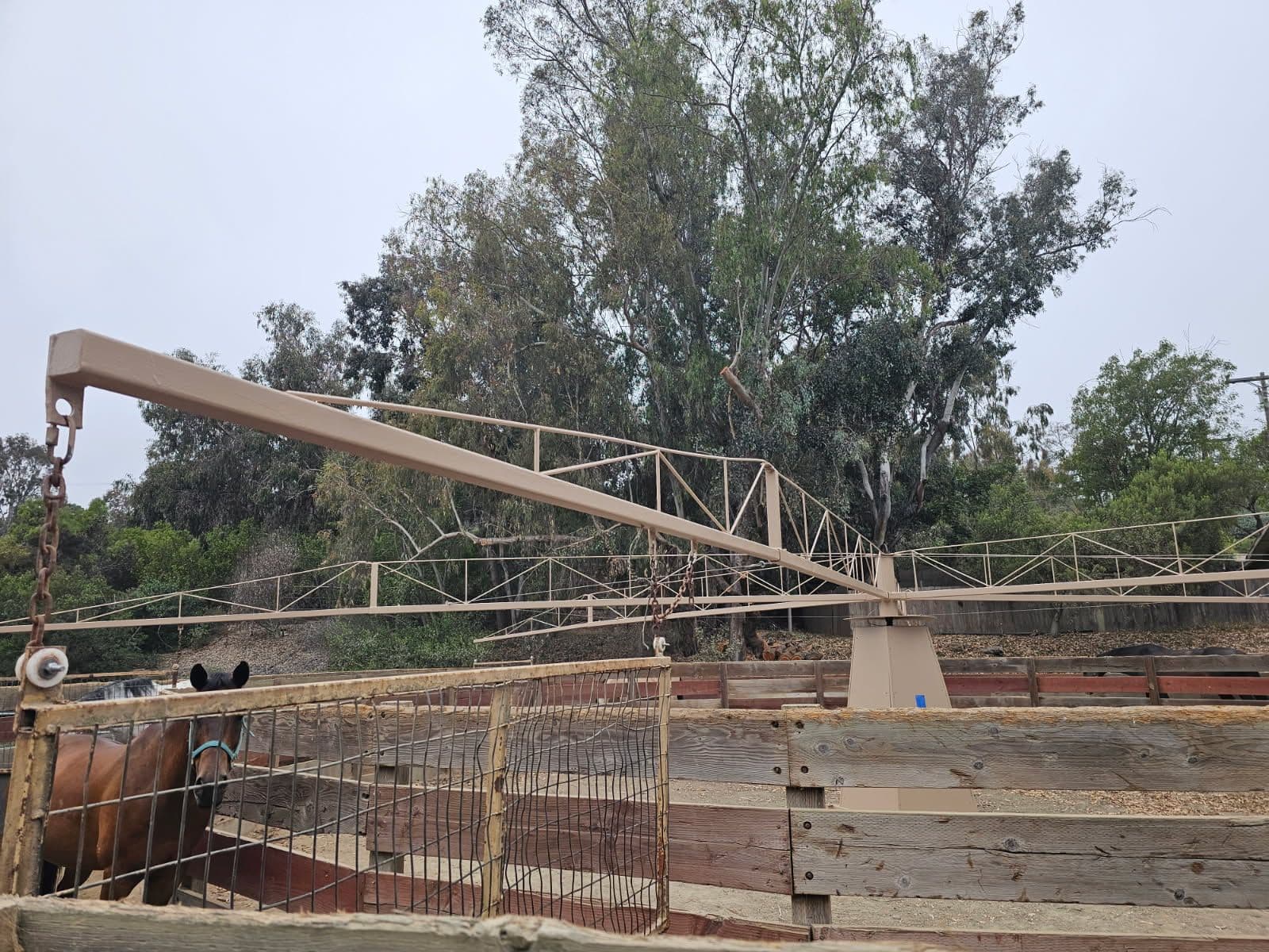 Revitalized Metal Horse Walker at Rancho Santa Fe image