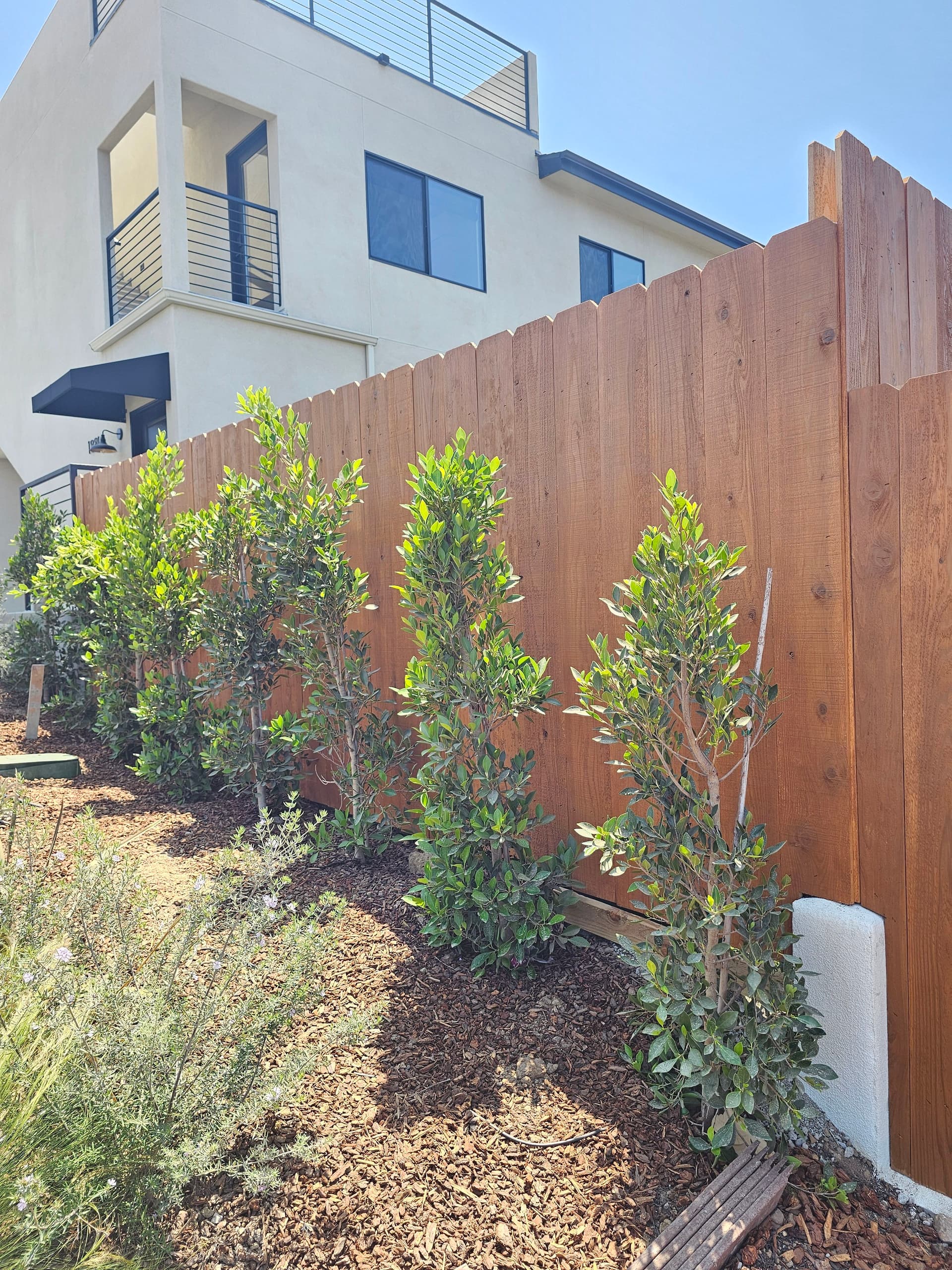 Gallery photos for New Construction Exterior Painting Completed in San Diego: Image #4